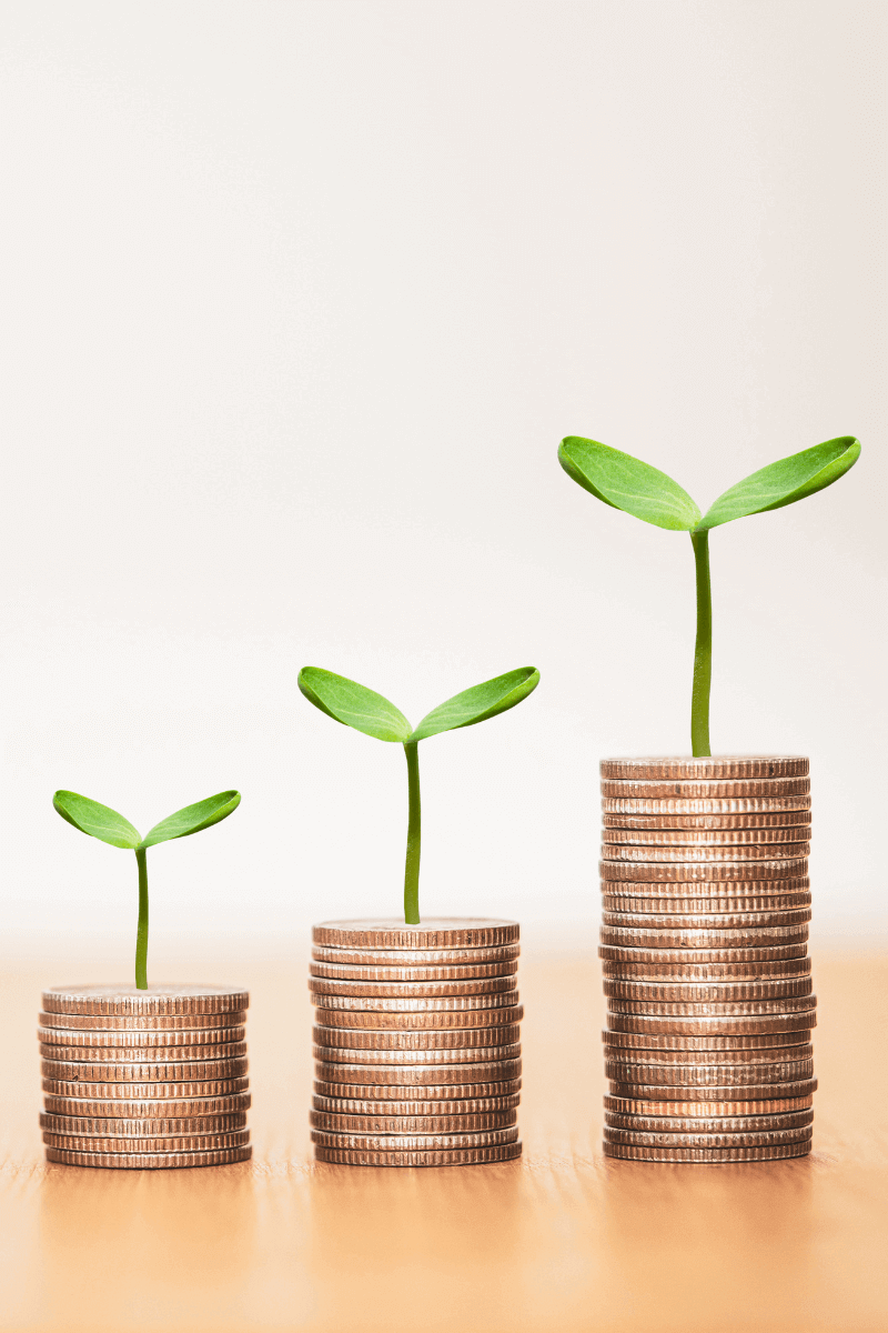 How Does a CFO Maximize Profits?