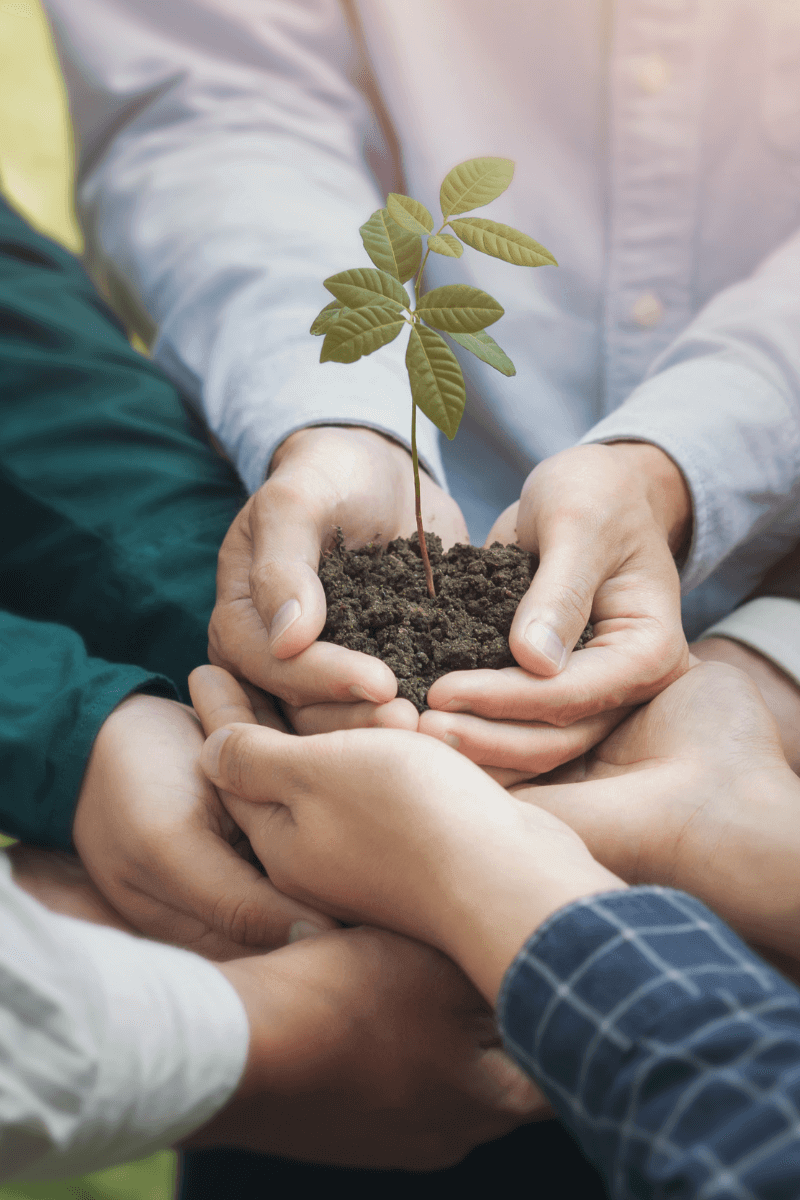 Nonprofit Financial Sustainability: Building a Strong Foundation for Long-Term Impact